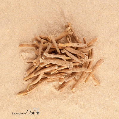 Propiedades de la Ashwagandha, ¿Qué es y Para Qué Sirve?