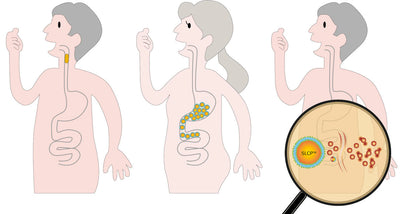 Why taking Turmeric Powder is not enough? The poor absorption of curcumin