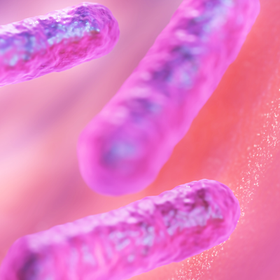Propionibacterium freudenreichii: Vorteile eines propionischen Bakteriums