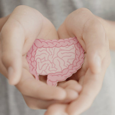 Butyrat: Was es ist, wie es entsteht und warum es für den Darm relevant ist