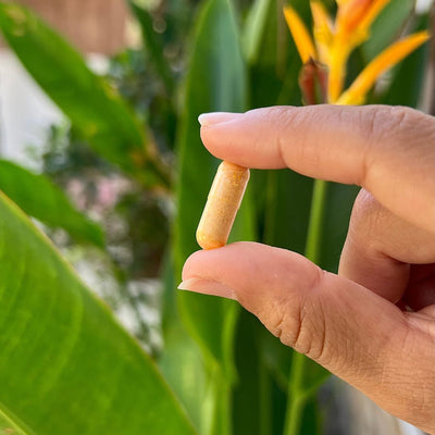 Turmeric and bioavailability: how to choose quality curcumin