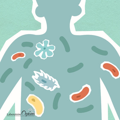 Wat is het menselijk microbioom en waarom is het belangrijk voor de gezondheid?