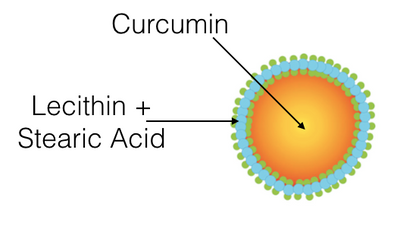 Was ist Longvida - SLCP Curcumin?