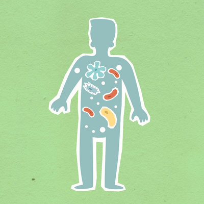 Was ist das menschliche Mikrobiom und warum ist es für die Gesundheit von Bedeutung?