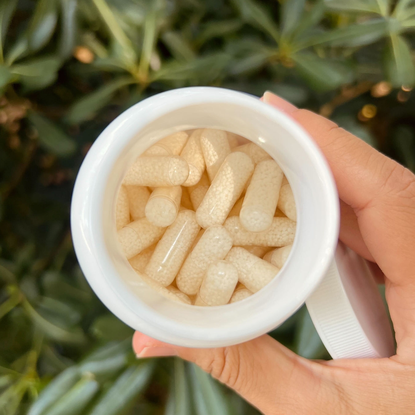 Optim Butyrate - 90 gélules